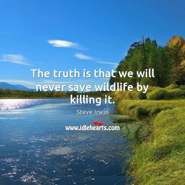 The truth is that we will never save wildlife by killing it. Steve Irwin Picture Quote