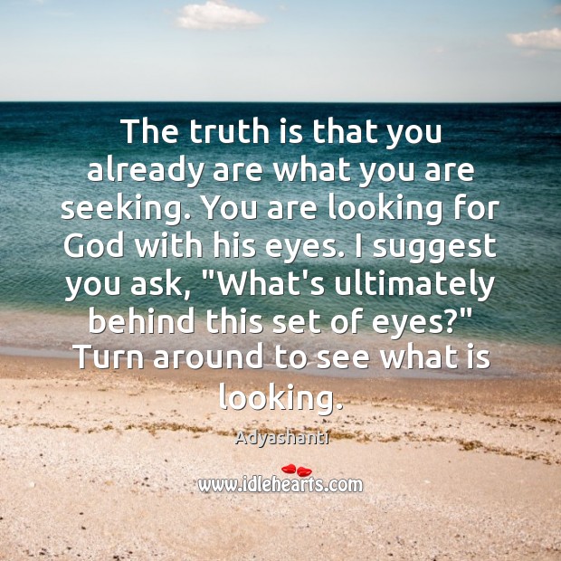 The truth is that you already are what you are seeking. You Truth Quotes Image