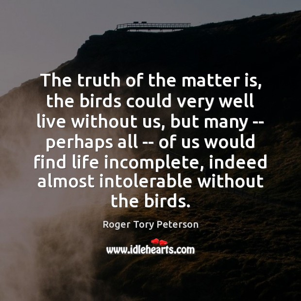 The truth of the matter is, the birds could very well live Roger Tory Peterson Picture Quote