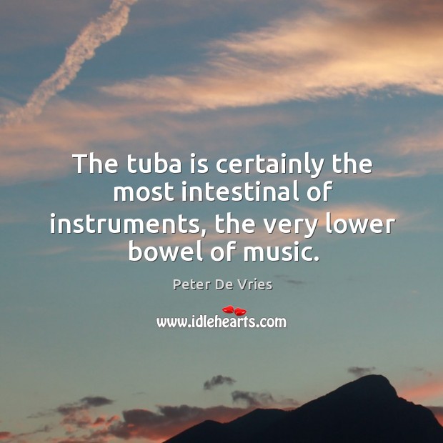 The tuba is certainly the most intestinal of instruments, the very lower bowel of music. Peter De Vries Picture Quote