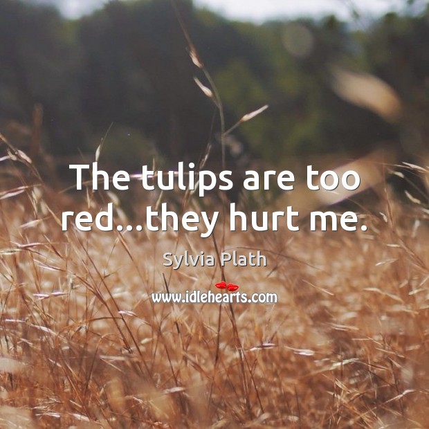 The tulips are too red…they hurt me. Sylvia Plath Picture Quote