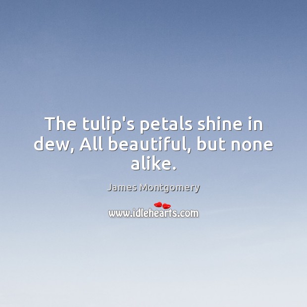The tulip’s petals shine in dew, All beautiful, but none alike. James Montgomery Picture Quote