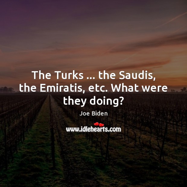 The Turks … the Saudis, the Emiratis, etc. What were they doing? Image