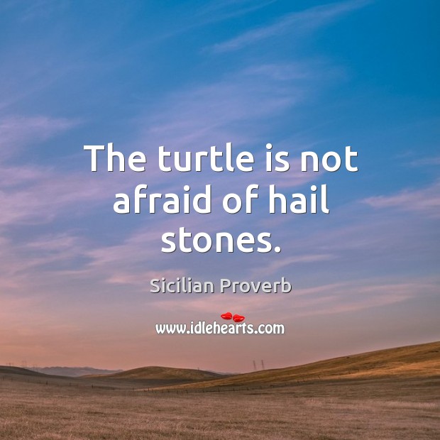 The turtle is not afraid of hail stones. Sicilian Proverbs Image