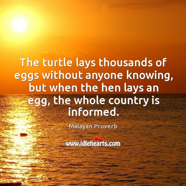 The turtle lays thousands of eggs without anyone knowing Malayan Proverbs Image