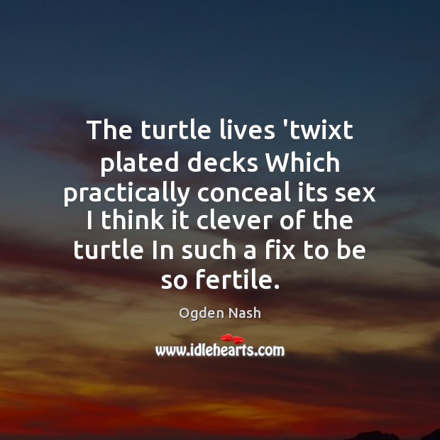 The turtle lives ‘twixt plated decks Which practically conceal its sex I Ogden Nash Picture Quote