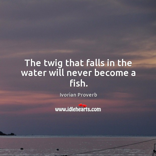 The twig that falls in the water will never become a fish. Ivorian Proverbs Image