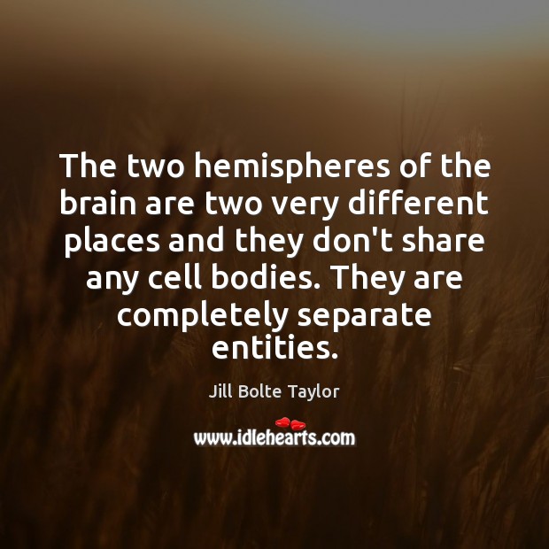 The two hemispheres of the brain are two very different places and Jill Bolte Taylor Picture Quote