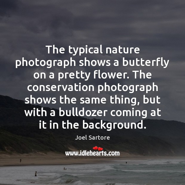 The typical nature photograph shows a butterfly on a pretty flower. The Joel Sartore Picture Quote