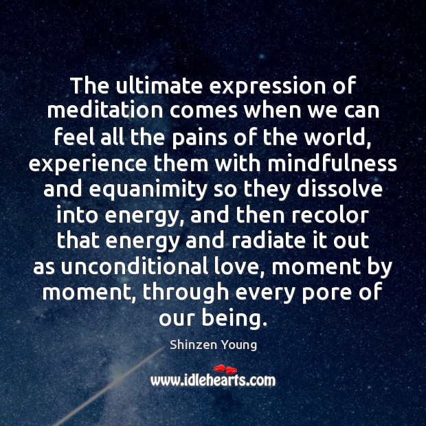 The ultimate expression of meditation comes when we can feel all the Shinzen Young Picture Quote