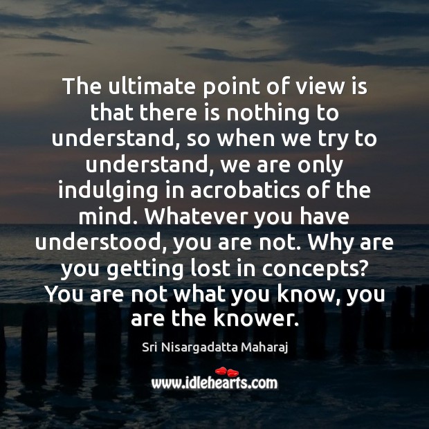 The ultimate point of view is that there is nothing to understand, Image