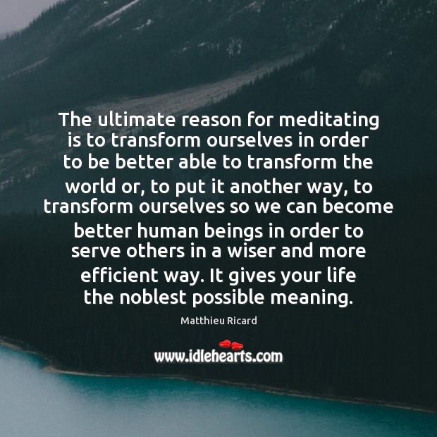 The ultimate reason for meditating is to transform ourselves in order to Matthieu Ricard Picture Quote