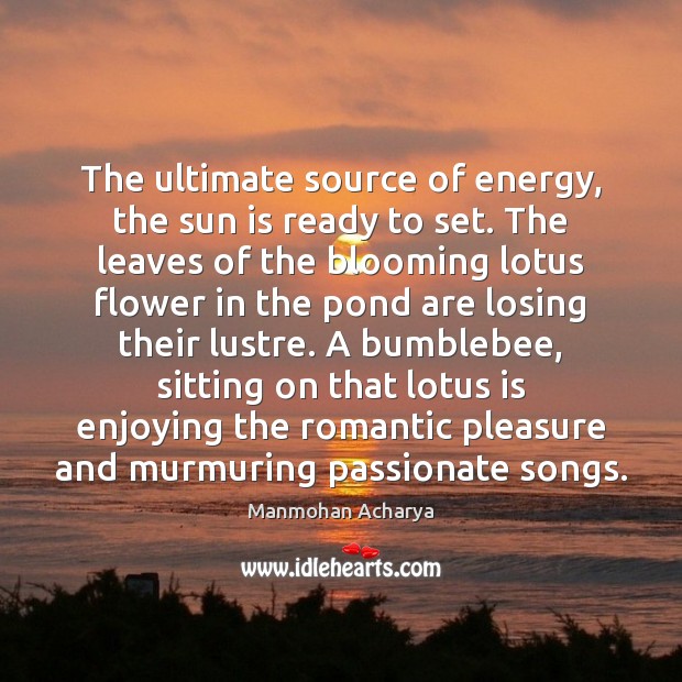 The ultimate source of energy, the sun is ready to set. The Flowers Quotes Image