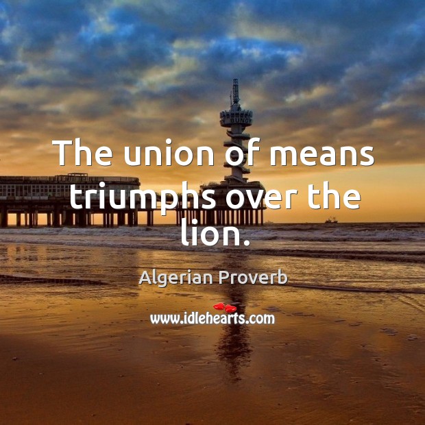 The union of means triumphs over the lion. Algerian Proverbs Image