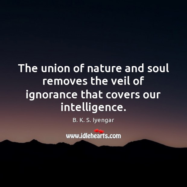 The union of nature and soul removes the veil of ignorance that covers our intelligence. B. K. S. Iyengar Picture Quote