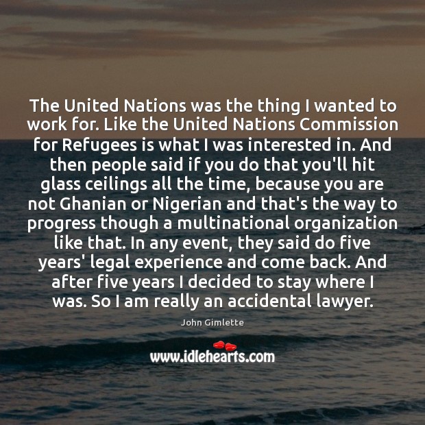 The United Nations was the thing I wanted to work for. Like John Gimlette Picture Quote