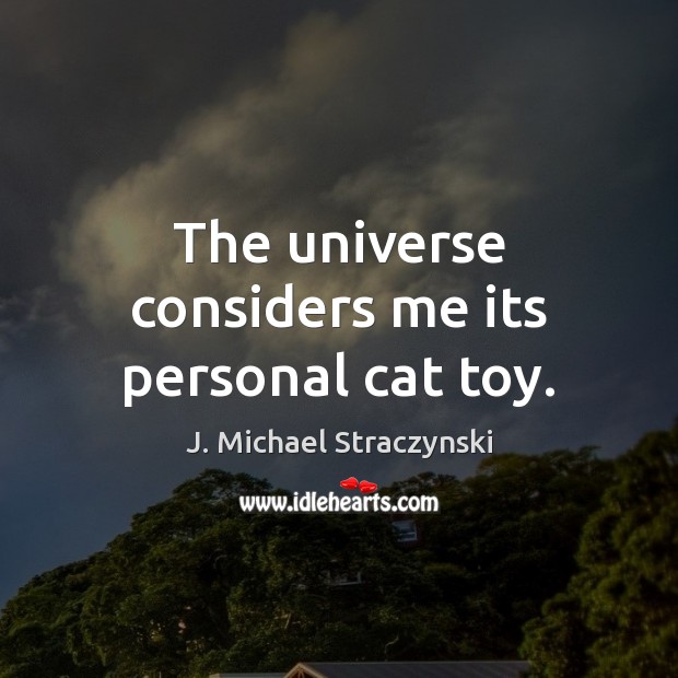 The universe considers me its personal cat toy. J. Michael Straczynski Picture Quote