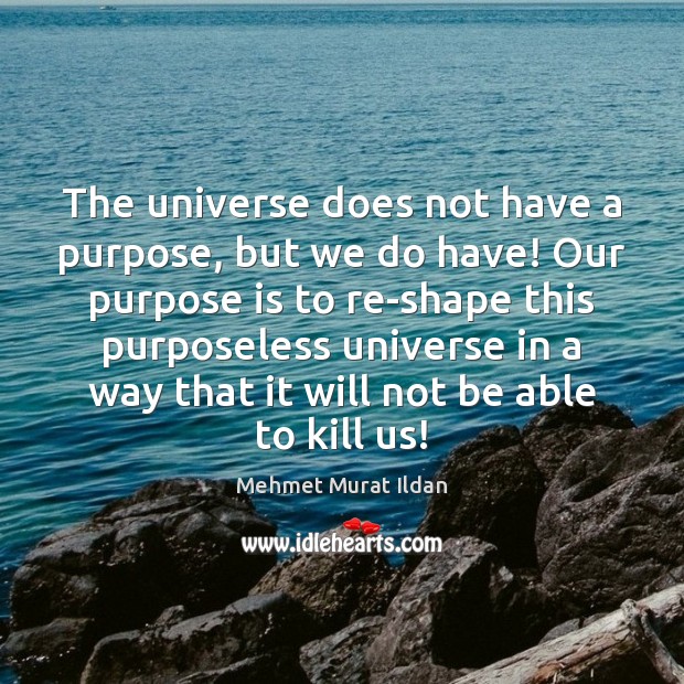 The universe does not have a purpose, but we do have! Our Mehmet Murat Ildan Picture Quote