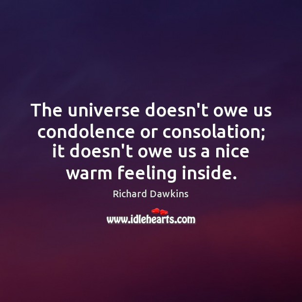 The universe doesn’t owe us condolence or consolation; it doesn’t owe us Richard Dawkins Picture Quote