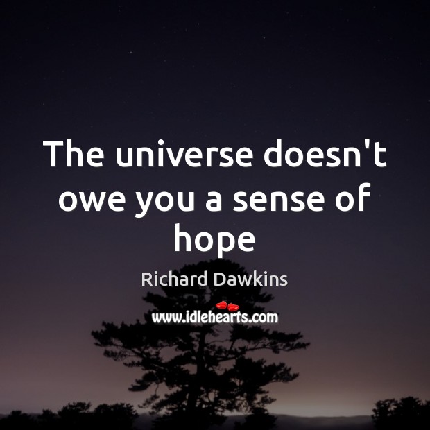 The universe doesn’t owe you a sense of hope Richard Dawkins Picture Quote