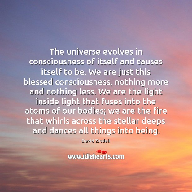 The universe evolves in consciousness of itself and causes itself to be. David Zindell Picture Quote