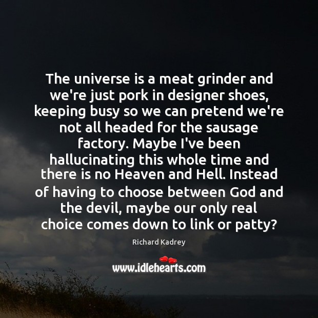 The universe is a meat grinder and we’re just pork in designer Richard Kadrey Picture Quote