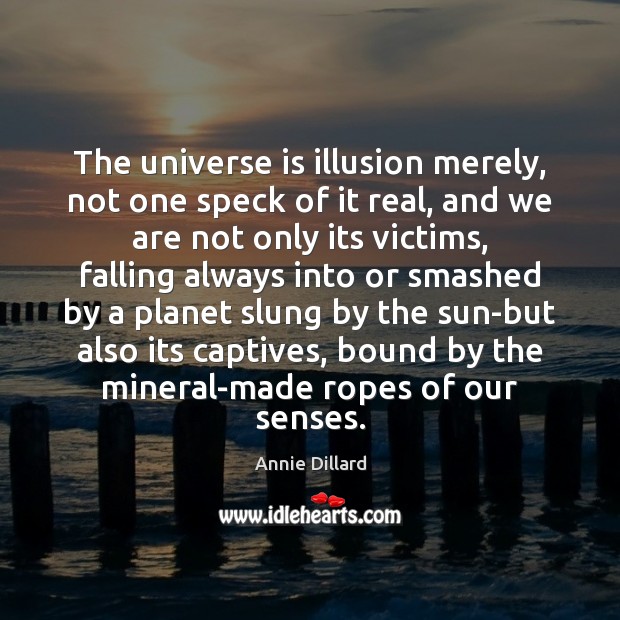 The universe is illusion merely, not one speck of it real, and Annie Dillard Picture Quote