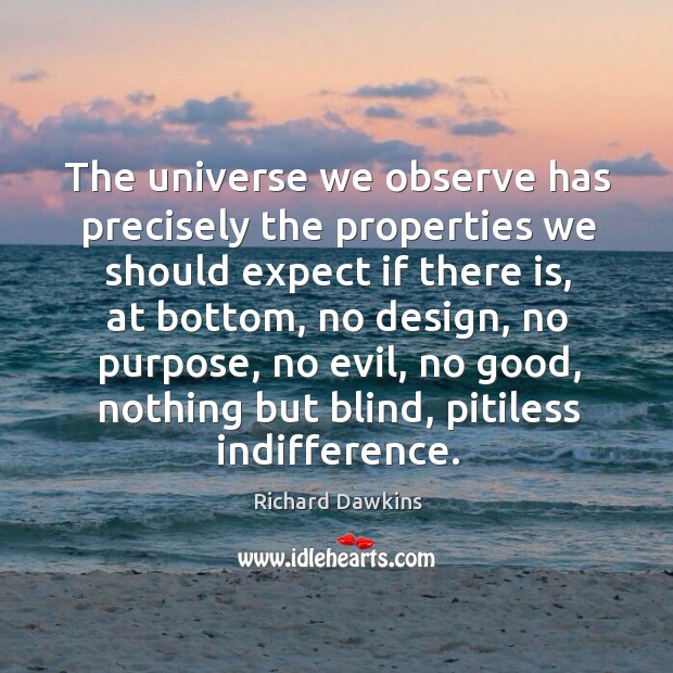 The universe we observe has precisely the properties we should expect if there is Richard Dawkins Picture Quote