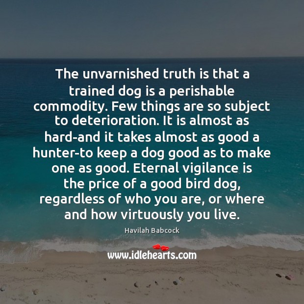 The unvarnished truth is that a trained dog is a perishable commodity. Havilah Babcock Picture Quote