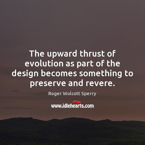 The upward thrust of evolution as part of the design becomes something Roger Wolcott Sperry Picture Quote