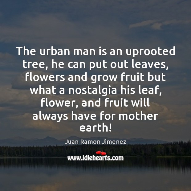 The urban man is an uprooted tree, he can put out leaves, Juan Ramon Jimenez Picture Quote