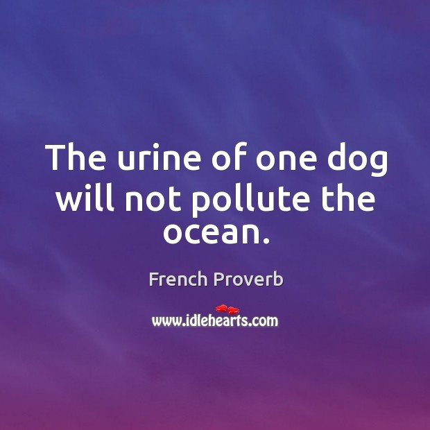 The urine of one dog will not pollute the ocean. French Proverbs Image