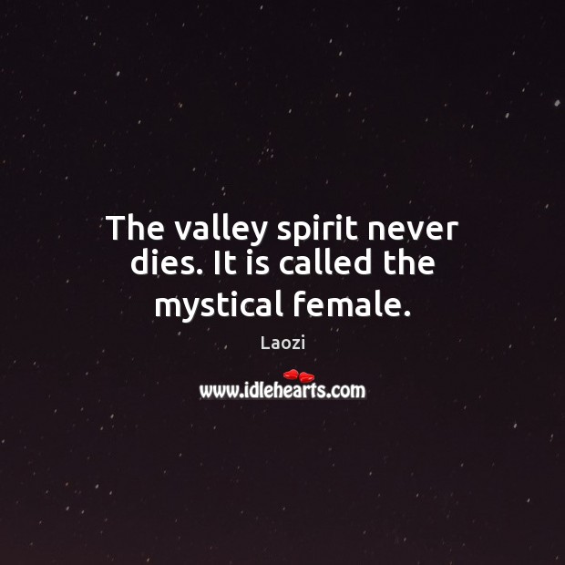 The valley spirit never dies. It is called the mystical female. Laozi Picture Quote