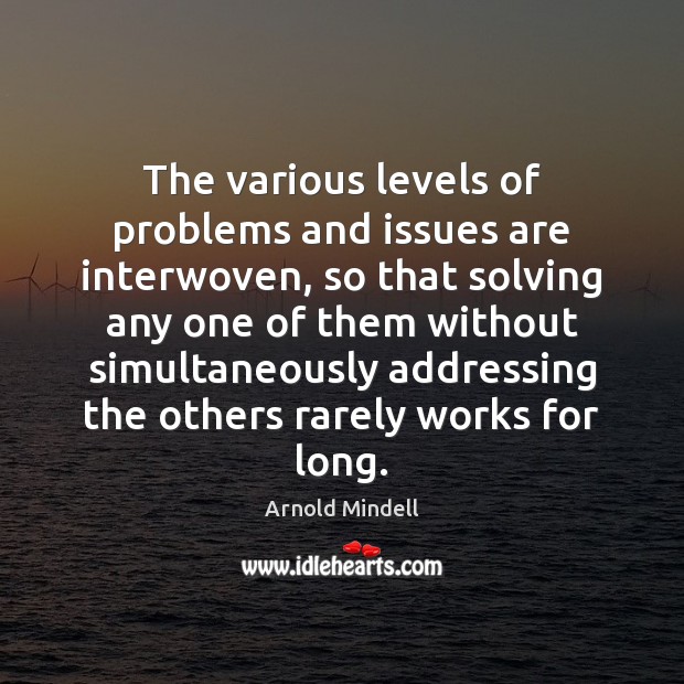 The various levels of problems and issues are interwoven, so that solving Arnold Mindell Picture Quote
