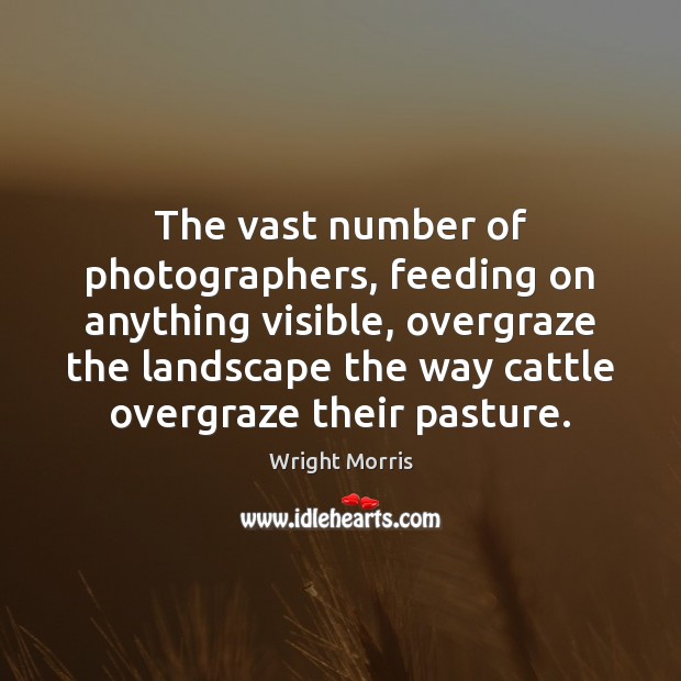 The vast number of photographers, feeding on anything visible, overgraze the landscape Wright Morris Picture Quote