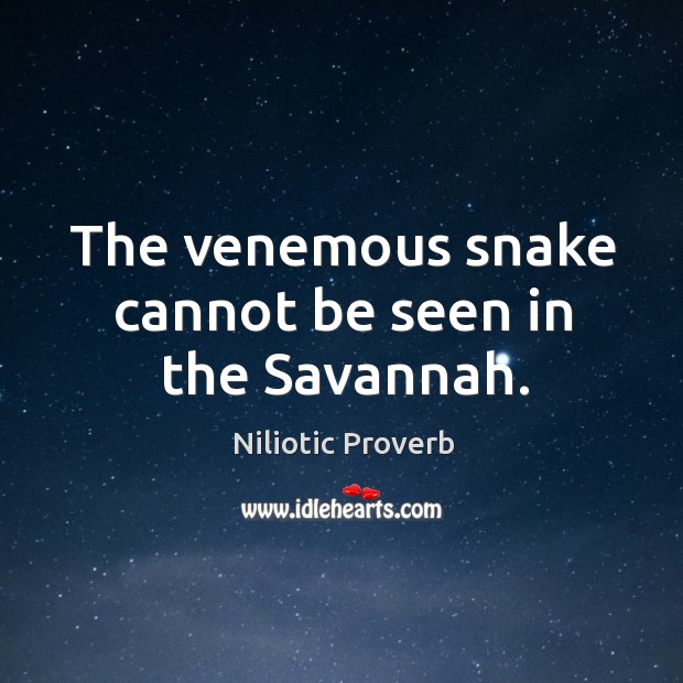The venemous snake cannot be seen in the savannah. Niliotic Proverbs Image