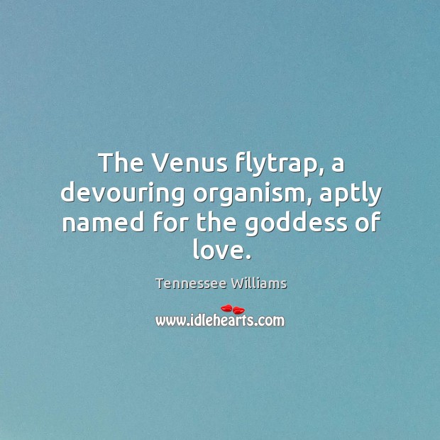 The Venus flytrap, a devouring organism, aptly named for the Goddess of love. Tennessee Williams Picture Quote