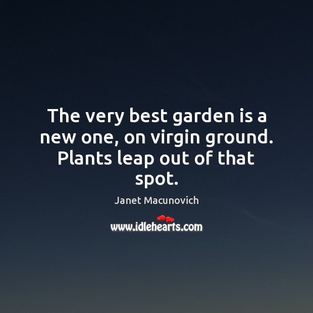 The very best garden is a new one, on virgin ground. Plants leap out of that spot. Image