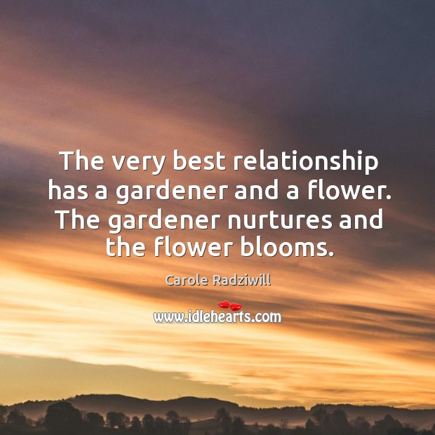 The very best relationship has a gardener and a flower. The gardener Carole Radziwill Picture Quote