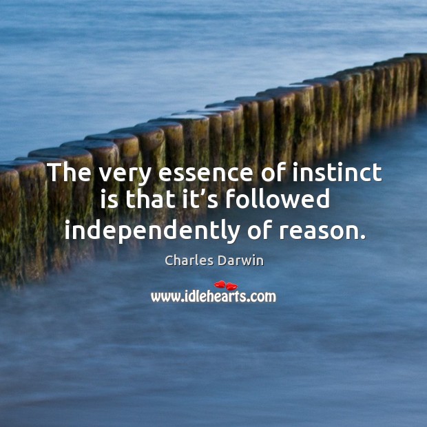 The very essence of instinct is that it’s followed independently of reason. Image