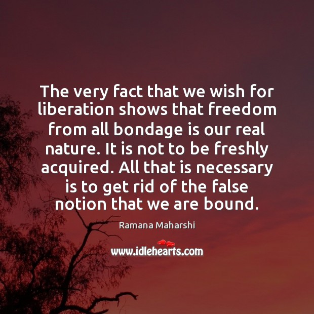 The very fact that we wish for liberation shows that freedom from Image