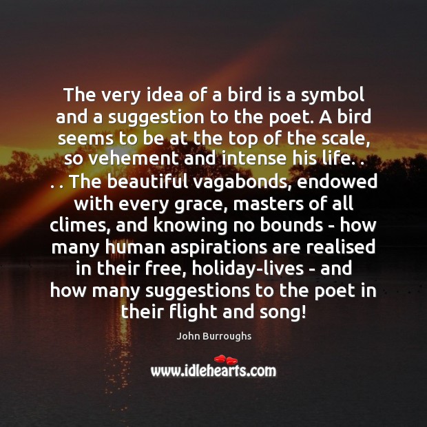 The very idea of a bird is a symbol and a suggestion John Burroughs Picture Quote