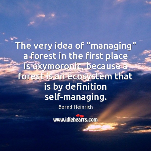 The very idea of “managing” a forest in the first place is Bernd Heinrich Picture Quote