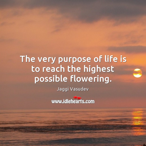 The very purpose of life is to reach the highest possible flowering. Jaggi Vasudev Picture Quote