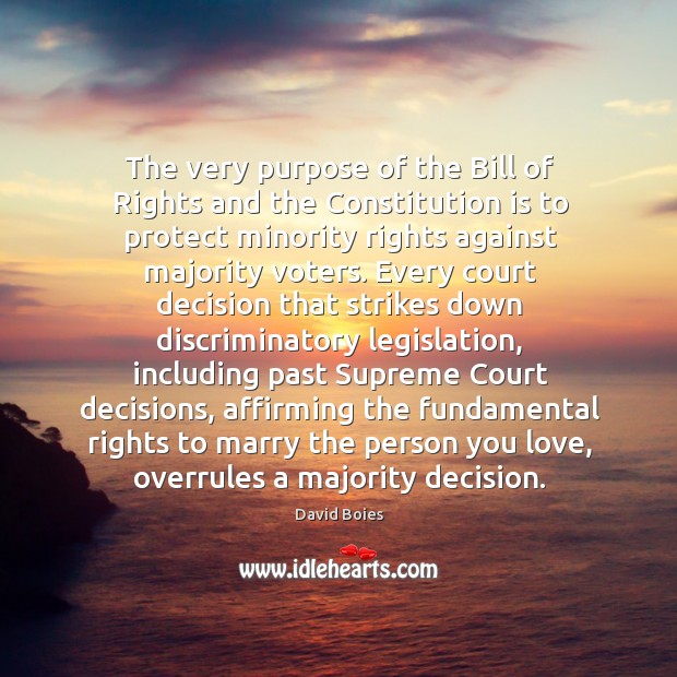The very purpose of the bill of rights and the constitution is to protect minority rights against majority voters. David Boies Picture Quote