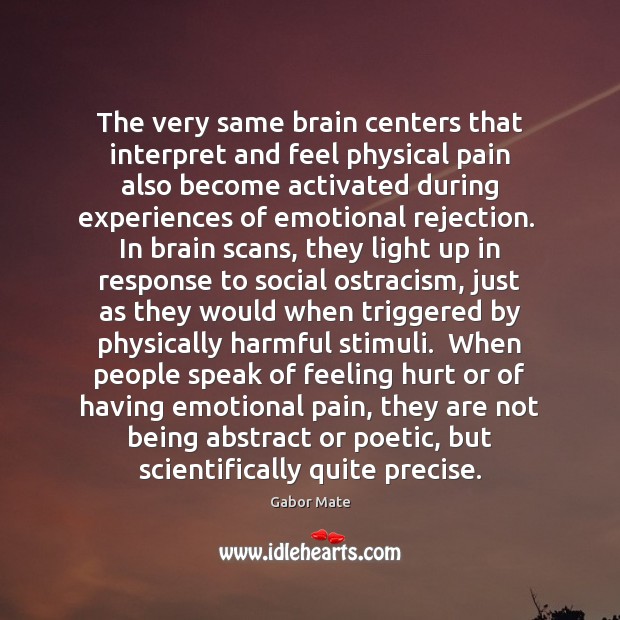 The very same brain centers that interpret and feel physical pain also Gabor Mate Picture Quote