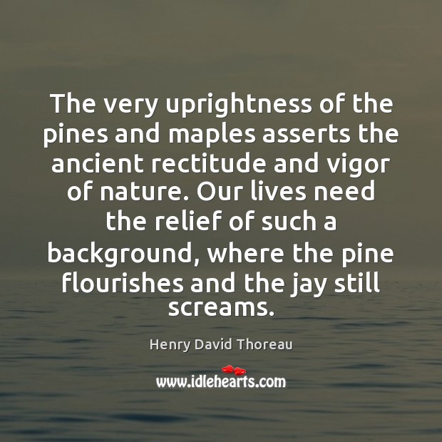The very uprightness of the pines and maples asserts the ancient rectitude Henry David Thoreau Picture Quote