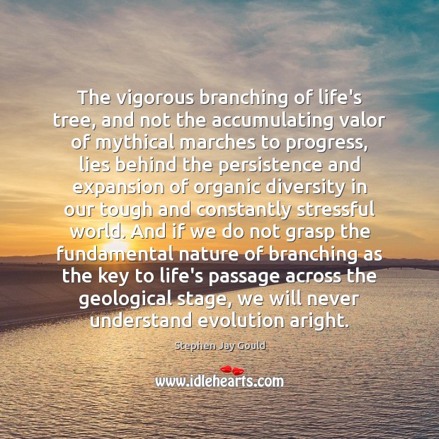 The vigorous branching of life’s tree, and not the accumulating valor of Stephen Jay Gould Picture Quote