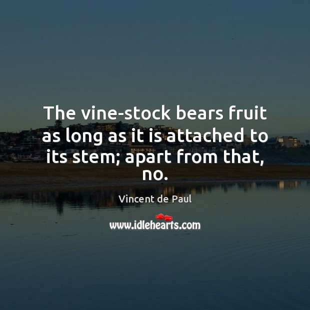 The vine-stock bears fruit as long as it is attached to its stem; apart from that, no. Vincent de Paul Picture Quote