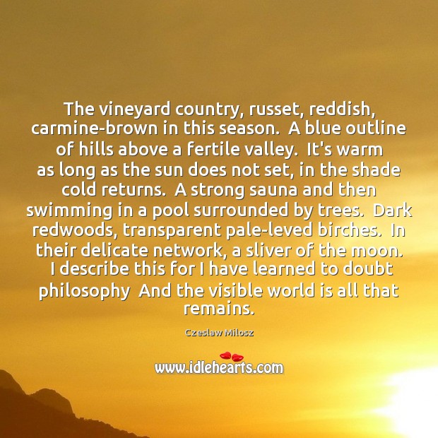 The vineyard country, russet, reddish, carmine-brown in this season.  A blue outline Czeslaw Milosz Picture Quote